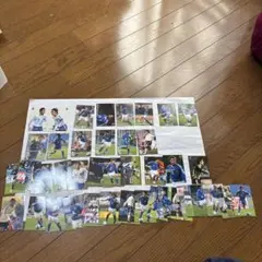 日本代表 カルビーポテトチップス カード 43枚セット