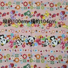 シーチング生地 ときめきフレンズ ボーダー柄 ピンク