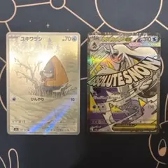 メガユキメノコ ma　ユキワラシ ar