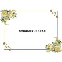 断捨離はじめました！様 リクエスト 2点 まとめ商品