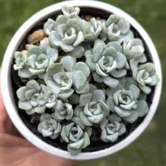 tocotoco様 リクエスト 2点 まとめ商品