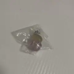 たまごっちパラダイス めじるしアクセサリー べびまるっち＆りくキッズ