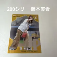 200シリ 藤本美貴