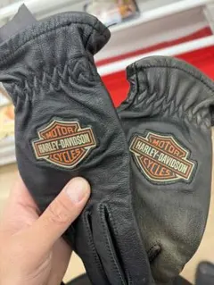 Item thumbnail for item 06bb242d-1a0f-46ef-8091-f13ea81d08c9