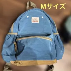 Item thumbnail for item 4c1a66a5-2c81-476b-afb3-4e2efd5bff33