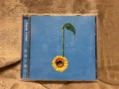 Aqua Timez 決意の朝に　CD 結婚式