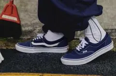 23 SSZ × VANS / ERA SKOOL