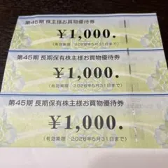 ビックカメラ&ヤマダ電機　優待券セット