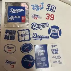 39番 ドラゴンズ・シークレット選手別フレークシール2025