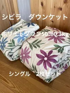 新品 丸洗可【シビラ】羽毛肌掛布団 ダウンケット（シングル）モリノ