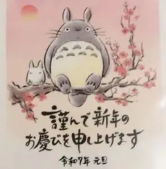 となりのトトロ 未使用 未開封 年賀はがき 3枚セット スタジオジブリ 2025