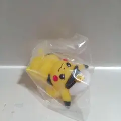 ポケモンキッズ　キャプテンピカチュウ⑰