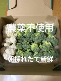 新鮮ブロッコリーとカリフラワーカットセット