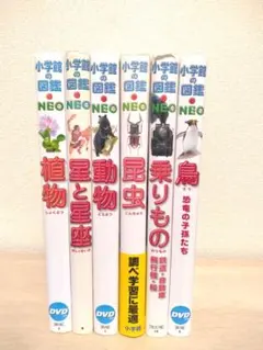 【DVD付き/星座早見盤付き/匿名配送】小学館の図鑑NEO 6冊セットのサムネイル