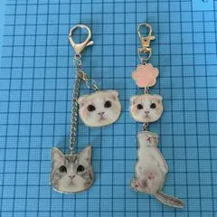 mago様専用 もちまる日記