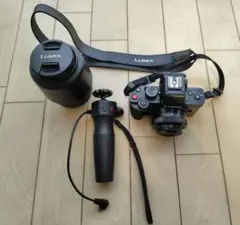 2026年最新】dc-g100vの人気アイテム - メルカリ