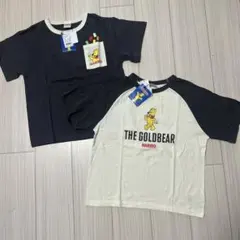 Item thumbnail for item 253f54c7-cdf0-480f-b46a-31c391097d9e