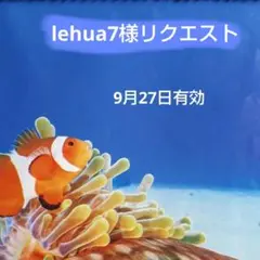 lehua7様 リクエスト 2点 まとめ商品