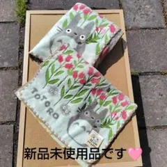 廃盤 丸眞 フェイスタオル ジブリ となりのトトロ カラフル - メルカリ