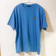 一点もの✨ SHEIN パイナップル刺繍 Tシャツ ブルー 【L】
