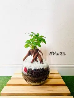 earth様 リクエスト 2点 まとめ商品