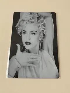 マドンナ Madonna ブリキ看板