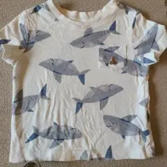 baby gap 魚柄 Tシャツ 18-24ヶ月