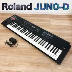 2026年最新】roland juno-d limitedの人気アイテム - メルカリ
