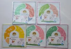 【H賞 5個セット】一番くじ Pokémon 30th ANNIVERSARY