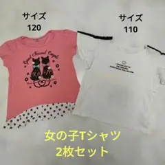 キッズ　 Tシャツ 2枚セット 120cm 猫柄　110cm　ハート　女の子のサムネイル