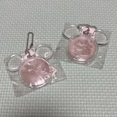 ディズニーシー　入園特典　キーチェーン　キーホルダー　ミニー　ジーニー　非売品