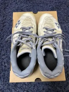 2026年最新】エアラスZ 25の人気アイテム - メルカリ