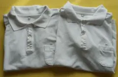 Item thumbnail for item 7b19c5ad-d5b7-474c-ab79-75eae01462ac