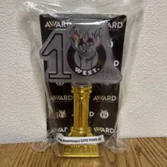 10th Anniversary LIVE TOUR AWARD