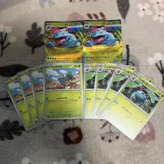 メガフシギバナex2枚　フシギソウ4枚 　フシギダネ4枚