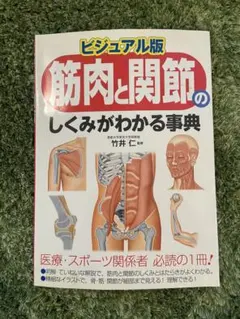 Item thumbnail for item 06bfea83-14ff-4021-807d-25c386ead3b1