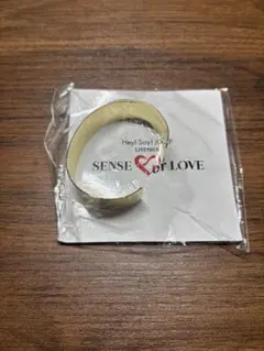 Item thumbnail for item fd1e3d3d-38cf-4516-8d0e-56d06a4d8ef8