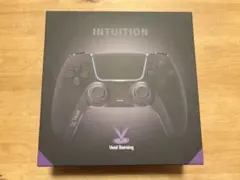Void Gaming Intuition pro コントローラー