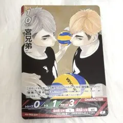 ハイキュー バボカ 宮兄弟