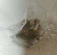 ドラゴンクエスト まちぼうけ マドハンド