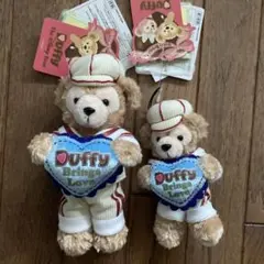 TDS東京ディズニーシー☆スウィートダッフィー2010 ぬいスト＆ぬいばセット