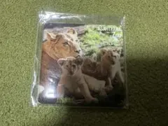 Item thumbnail for item d9600c57-8327-4807-88be-90ca66fa84e2