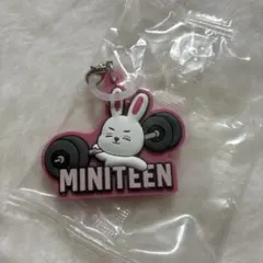 miniteen ぷっくりめじるしアクセサリー エスクプス