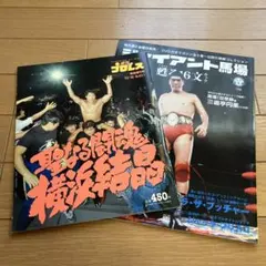 週刊プロレス 他