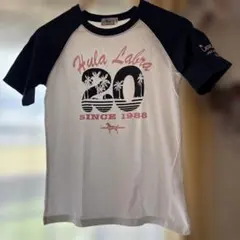 Labrador Retriever Tシャツ Sサイズのサムネイル
