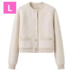 ゴールドボタンカーディガン　zara bibiy ユニクロ　gu　moussy