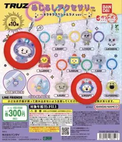 TRUZ めじるしアクセサリーセット