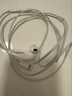 【動作確認済】Apple 純正有線イヤホン （Lightning）
