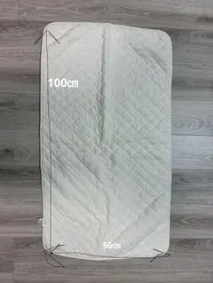 Item thumbnail for item 45a31fc6-836f-4455-8e75-04c6fe0d582e