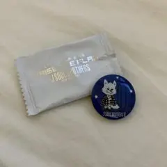 三代目 J Soul Brothers 缶バッチ